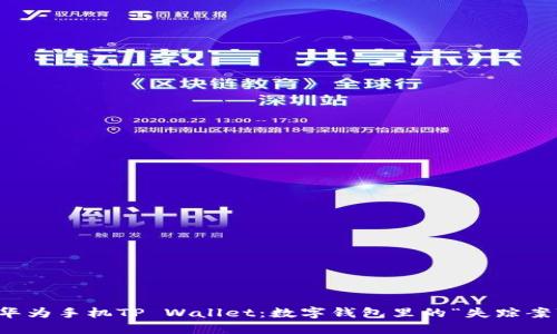 华为手机TP Wallet：数字钱包里的“失踪案”
