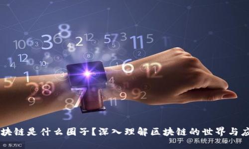 区块链是什么圈子？深入理解区块链的世界与应用