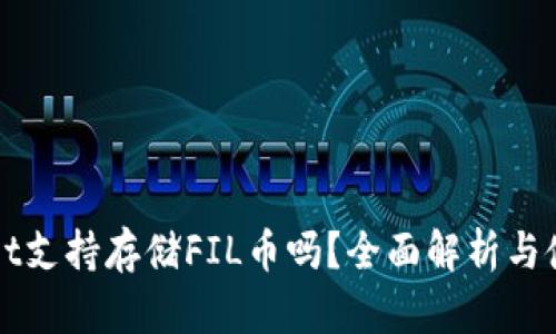 TPWallet支持存储FIL币吗？全面解析与使用指南