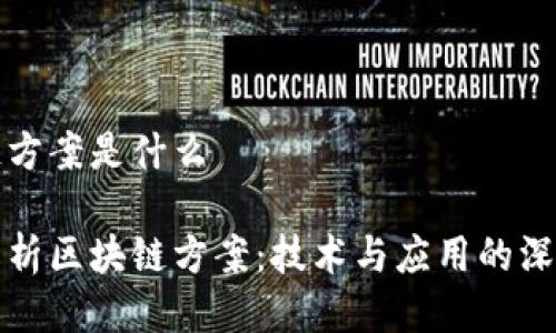 区块链方案是什么

全面解析区块链方案：技术与应用的深度剖析