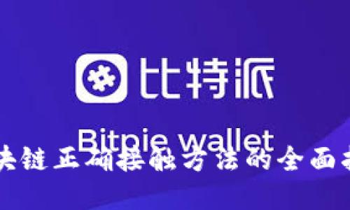 区块链正确接触方法的全面指南