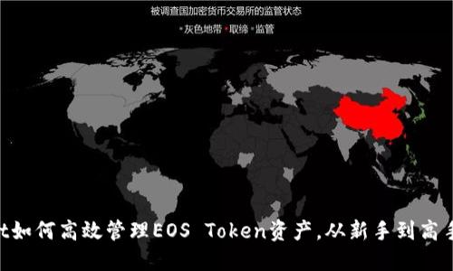 TokenPocket如何高效管理EOS Token资产，从新手到高手的完全指南