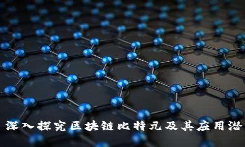 : 深入探究区块链比特元及其应用潜力