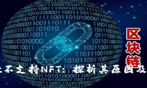 TPWallet不支持NFT: 探析其原因及应对策略