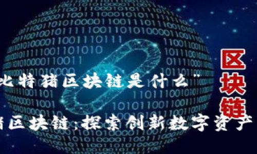 关于“比特猪区块链是什么”

比特猪区块链：探索创新数字资产的未来