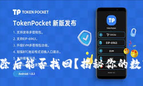 思考:

TPWallet删除后能否找回？揭秘你的数字资产安全！