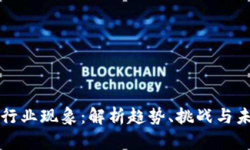 区块链行业现象：解析趋势、挑战与未来发展