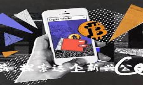 区块链平民收益：探索这个新兴公司的潜力与前景