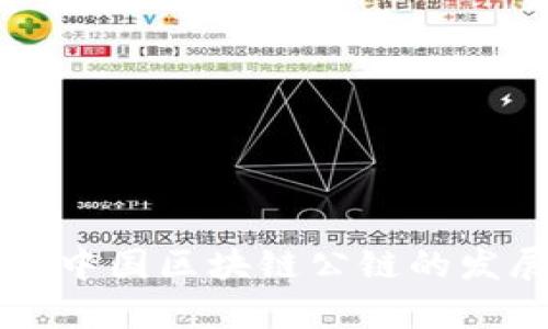 全面解析中国区块链公链的发展与应用