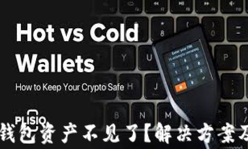 
TPWallet导入钱包资产不见了？解决方案及常见问题解析