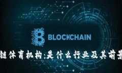 区块链体育机构：是什么行业及其前景分析