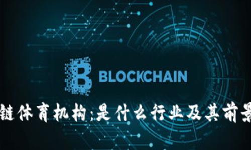 区块链体育机构：是什么行业及其前景分析