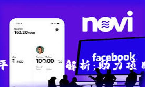 区块链项目推广平台的全面解析：助力项目成功的关键工具