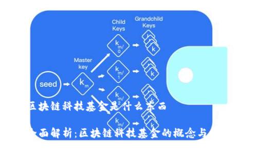 区块链科技基金是什么东西

全面解析：区块链科技基金的概念与发展