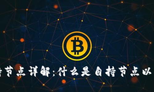 区块链自持节点详解：什么是自持节点以及其重要性