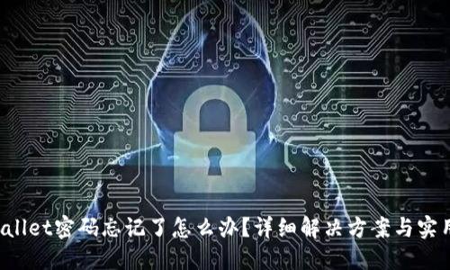 TP Wallet密码忘记了怎么办？详细解决方案与实用技巧