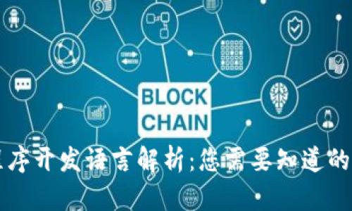 区块链程序开发语言解析：您需要知道的编程语言