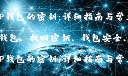 如何找回TP钱包的密钥：详细指南与常见问题解答

关键词：TP钱包, 找回密钥, 钱包安全, 数字货币

如何找回TP钱包的密钥：详细指南与常见问题解答